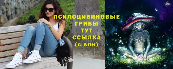 эйфоретик Абаза