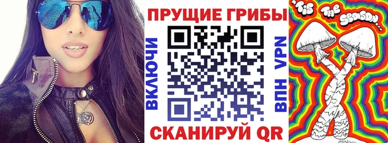 где купить наркоту  Дубна  mega как войти  Галлюциногенные грибы GOLDEN TEACHER 