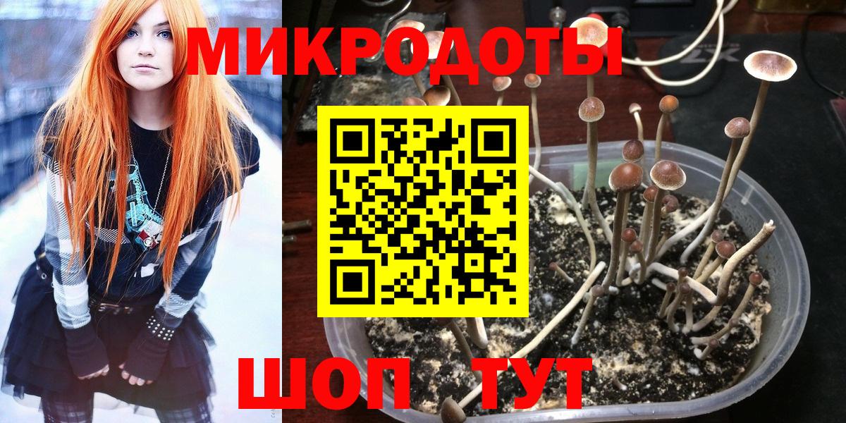 Дубна  Галлюциногенные грибы Psilocybe  закладка  Вход с VPN 