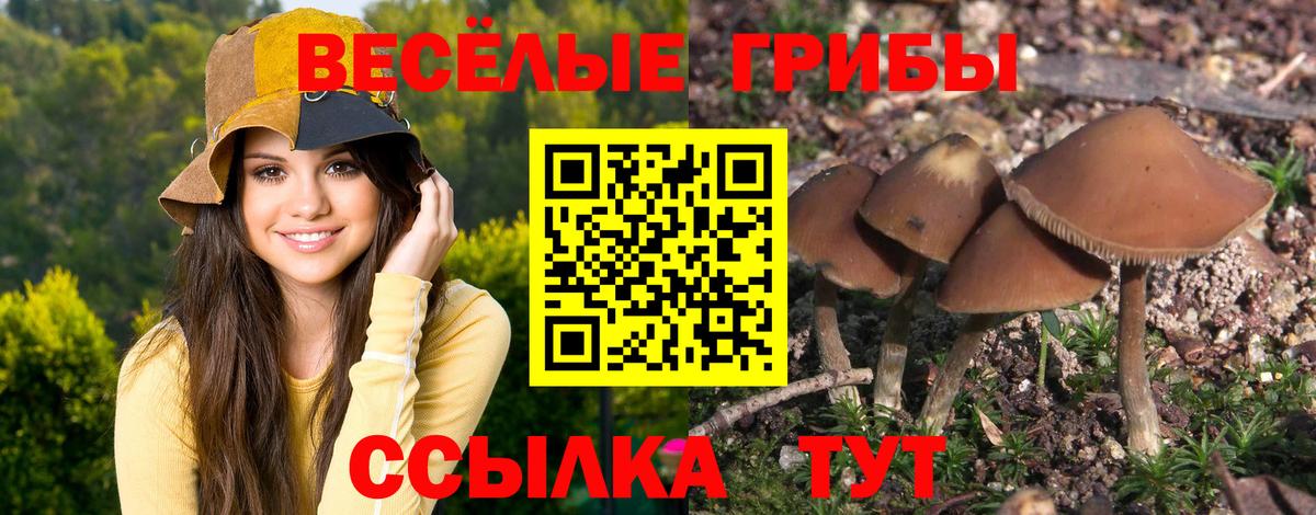 Галлюциногенные грибы MAGIC MUSHROOMS Дубна